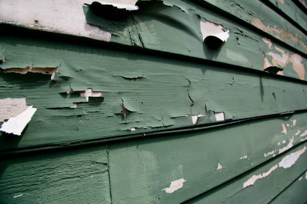 Best Dumpster Rental Services  in Raubsville, PA